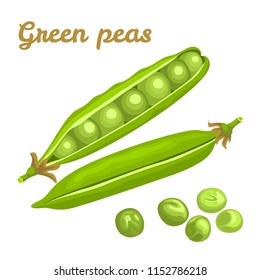 Green peas isolated on white background. Vector illustration of fresh food in a flat style. Icon, banner.