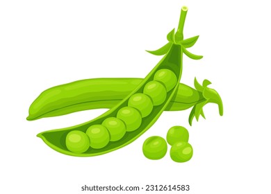 Green peas isolated on white background. Vector eps 10
