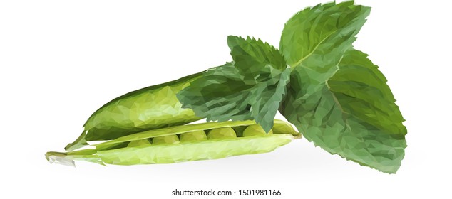 Green peas and mint in polygonal style. Low poly fresh food. Elements for label design. Ingredients in triangulation technique. Vector illustration.
