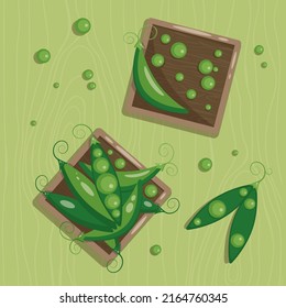 Green peas on the table. Vector flat illustration of fresh green peas. Top view.Flat lay.
