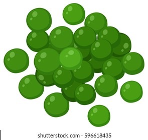 Green peas on white background illustration