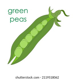 Green peas, one open pod of green rest without leaves. Vegetarian food. eco-friendly, organic farm product. rustic micro-greenery. vegetable pod for canned food