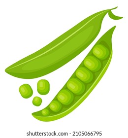 Green peas, open and closed pod. Bright and juicy image of peas on a white background. 