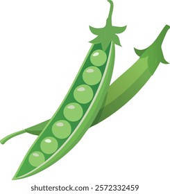 Green peas in open pod