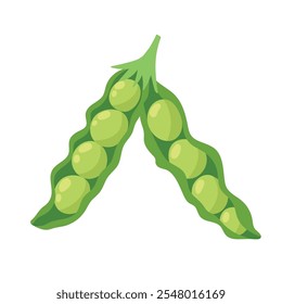 Green peas open pod in cartoon style. Fresh beans element isolated on white background. Healthy food print for farm market menu and recipes. Vector illustration