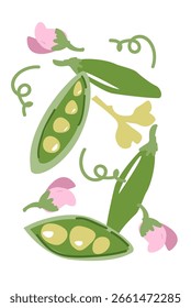 Patrón de guisantes verdes y flores rosas con Elementos botánicos. Cartel de vegetales minimalista contemporáneo con colores brillantes. Diseño de Vertical moderno.