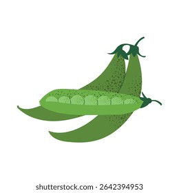 Green peas in pod. Flat hand drawn vegetable illustration. Organic vegan food for salad and cooking. Vector image isolated on white background.