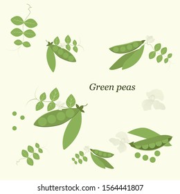 Green peas, pod and flowers. Natural eco-friendly products. Vector flat illustration. Text on a separate layer.