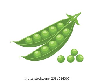 Green peas in a pod on a white background. Legumes, food. Flat style illustration.