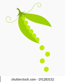 Green peas pod. Vector illustration