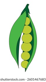 Green peas in a pod vector illustration