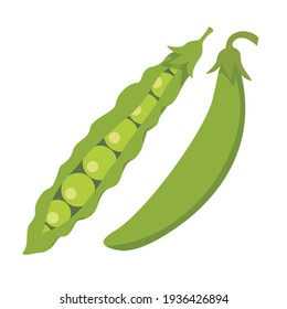 Green peas in a pod. Vector, white background, isolated.