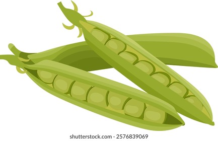 Green Peas Pod Vegetable Illustration Isolated on White Background	