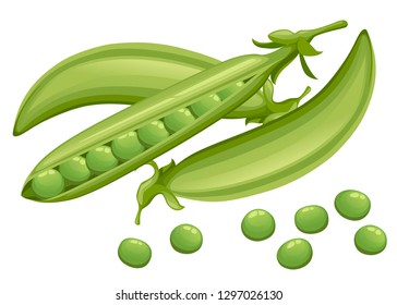 Green peas. Pods of green peas with leaves. Set with whole and open peas in pods. Flat vector illustration isolated on white background. Cartoon style vegetable.