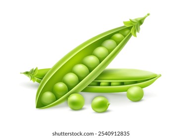 Green peas in the pods. Natural organic vegetables. Fresh grown food for healthy eating. Isolated on white background. Realistic. Vector illustration.