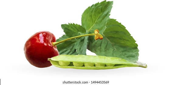 Green peas, red cherry and mint in polygonal style. Low poly fresh food. Elements for label design. Ingredients in triangulation technique. Vector illustration.