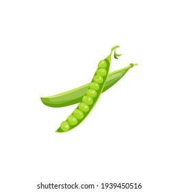 Granos verdes, ricos en vitaminas. Imagen vectorial. Un elemento para el diseño.