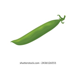 Green peas. Ripe green peas. Two pea pods. A garden vegetable. A vegetarian product. Vector illustration isolated on a white background