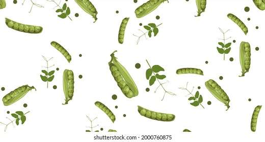 Patrón. Garzas verdes, vainas abiertas, hojas verdes de estilo plano. Los productos naturales de la cosecha de huertos. El fondo es impecable. Verduras ecológicas. Producto ecológico. 