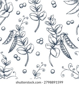 Green peas seamless pattern hand drawn Isolated vector illustration. Health food produce. Greeting card templates, restaurant menu, packaging. Detailed botanical sketches. Pencil drawing. Engraving