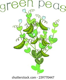 Green peas with title