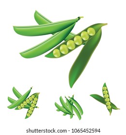 Green peas Vector art