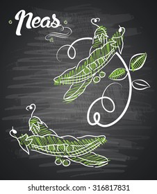 Green peas. Vector illustration.