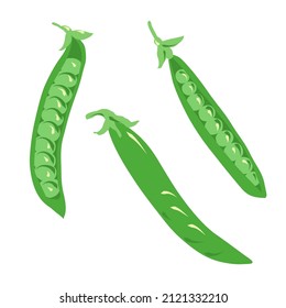 Green peas vector illustration. Doodle drawing, set of three legumes. Open pea pod, closed pod. Three green fresh pod pea plants. Objects, food icons isolated on white background