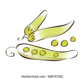 Green peas vector illustration, isolated on white background.