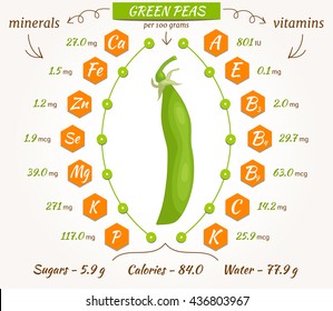 Green peas vector infographics. The content of minerals and vitamins in fresh pea. Illustration about nutrients, vegetables, health food, diet. Flat style.