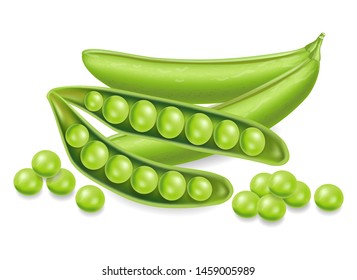 Green peas Vector realistic isolated on white. 3d detailed illustration