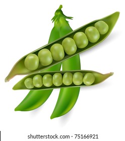 Green peas vegetable with seed; vector