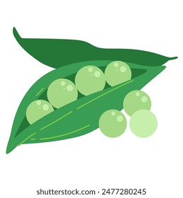 Green peas vegetable vector illustration, cute green pea cartoon icon, ercis bean or kacang polong in flat design style, Pisum sativum healthy vegetables clip art