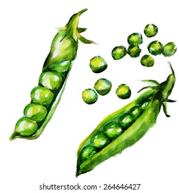Green Peas Watercolor