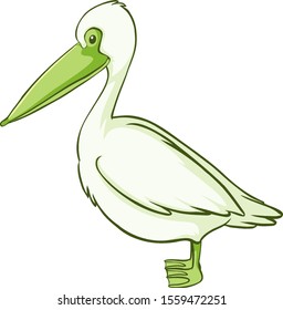 Green pelican on white background illustration