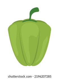 Green Pepper Icon Flat Isolated