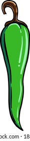 Pimienta verde, ilustración, vector sobre fondo blanco