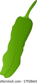 Green pepper isolated vector illustration