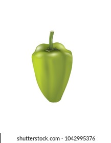 Green pepper on white background, vector