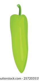 Green pepper on white background, vector