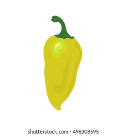 Green pepper vector illustration