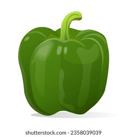 Green pepper. Vector illustration isolated on white background.