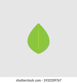 Pétalo verde sobre fondo gris
