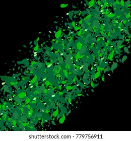 Green petals on a black background. Watercolor. Green leaves. Pattern. Floral. Nature. Greenery. Spring. Frame of foliage. Vector illustration. Placer of leaves. Confetti made from leaves.