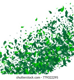 Green petals on a white background. Watercolor. Green leaves. Pattern. Floral. Nature. Greenery. Spring. Frame of foliage. Vector illustration. Placer of leaves. Confetti made from leaves. Floral.