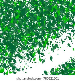 Green petals on a white background. Watercolor. Green leaves. Floral. Nature. Greenery. Spring. Frame of foliage. Vector illustration. Placer of leaves. Confetti made from leaves. Floral.