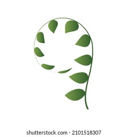 Green Petiole element, Vector, Illustration.