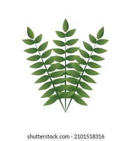 Green Petiole element, Vector, Illustration.