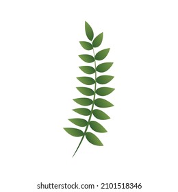 Green Petiole element, Vector, Illustration.
