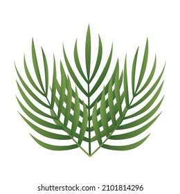 Green Petiole element, Vector, Illustration.